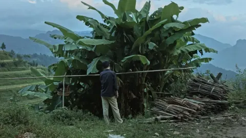 Кайлийская меланхолия — кадр 12