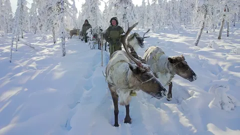 Великий северный путь — кадр 5