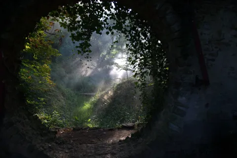 Эйфория — кадр 8