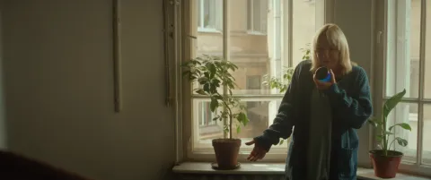 Тюльпаны — кадр 11