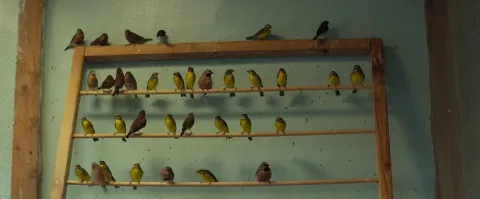 Счастливчик — кадр 8