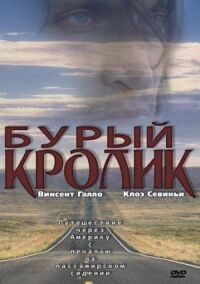 Бурый кролик