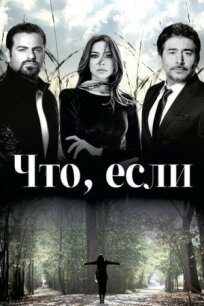 Что, если (2014)