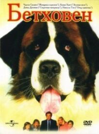 Бетховен (1991)