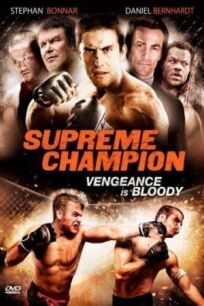 Супер чемпион (2010)