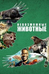 Невозможные животные (2021)