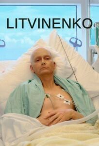 Литвиненко (2022)