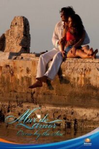 Море любви (2009)