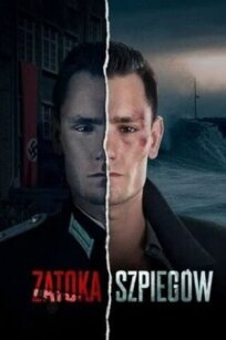 Шпионский залив (2024)