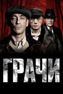 Грачи (2026)