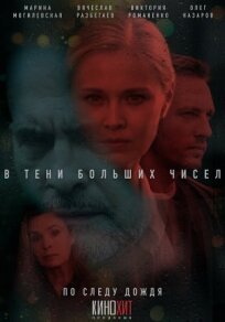 В тени больших чисел. По следу дождя (2024)