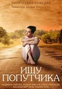 Ищу попутчика (2013)