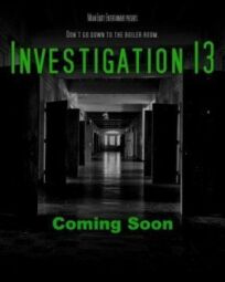 Расследование 13 (2019)