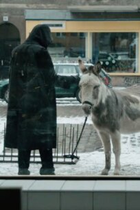 Случай (2013)