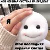 shapi_god