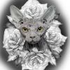 Lyba2106